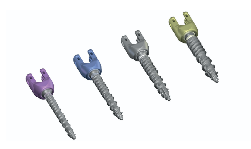 POLYAXIAL SCREWS