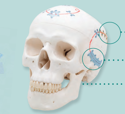 Unique System Features